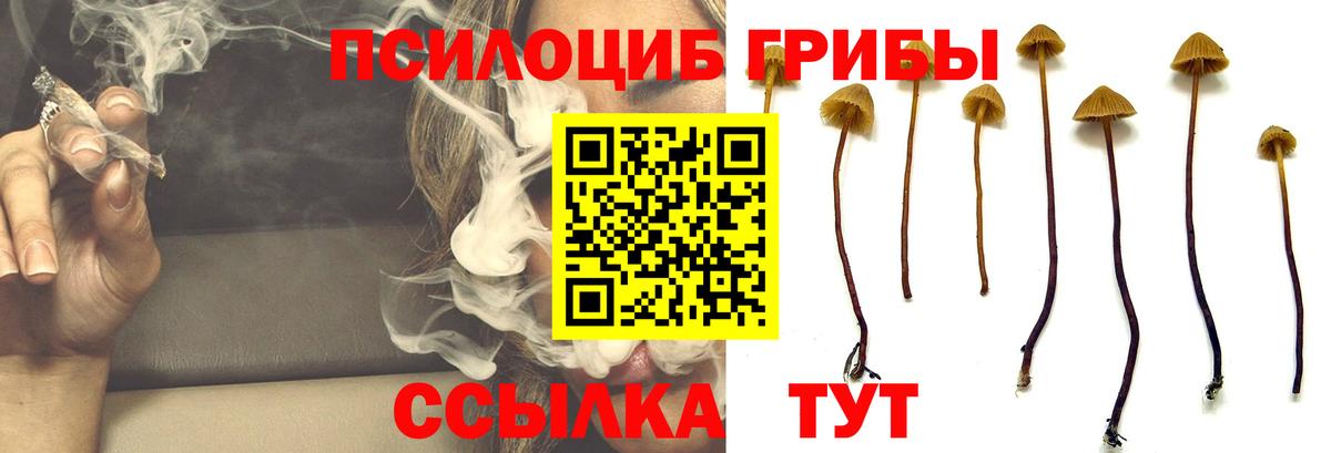 Псилоцибиновые грибы MAGIC MUSHROOMS Саров